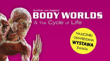 BODY WORLDS & The Cycle of Life – Poznań