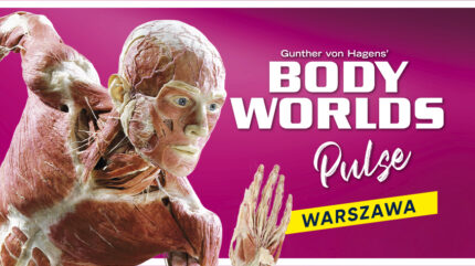 Body Worlds Pulse – Warszawa